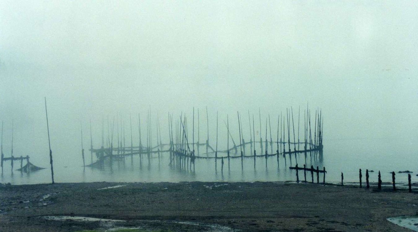 Secrets-Of-The-Ancient-Fish-Weir-In-North-Carolina8217s-Chowan-River secrets-of-the-ancient-fish-weir-in-north-carolinas-chowan-river