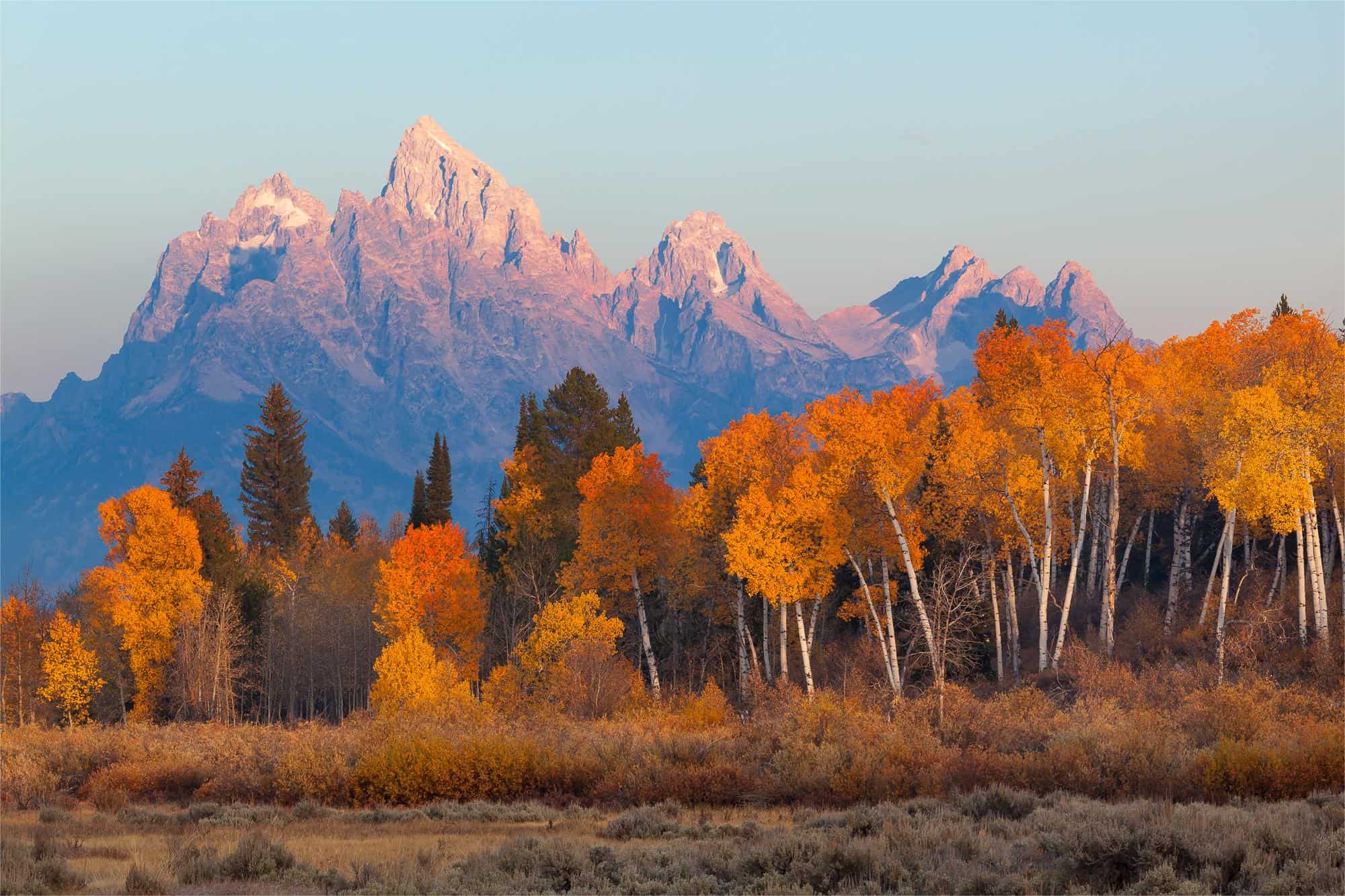 Secrets-Of-The-Aspen-Grove-Trails-In-Wyoming8217s-Grand-Tetons secrets-of-the-aspen-grove-trails-in-wyomings-grand-tetons