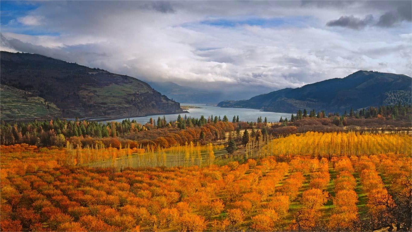 Secrets-Of-The-Misty-Valley-Orchards-In-Washington8217s-Columbia-River-Gorge secrets-of-the-misty-valley-orchards-in-washingtons-columbia-river-gorge