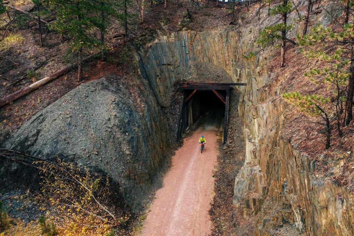 Secrets-Of-The-Twisted-Pine-Forest-Tunnels-In-South-Dakota secrets-of-the-twisted-pine-forest-tunnels-in-south-dakota