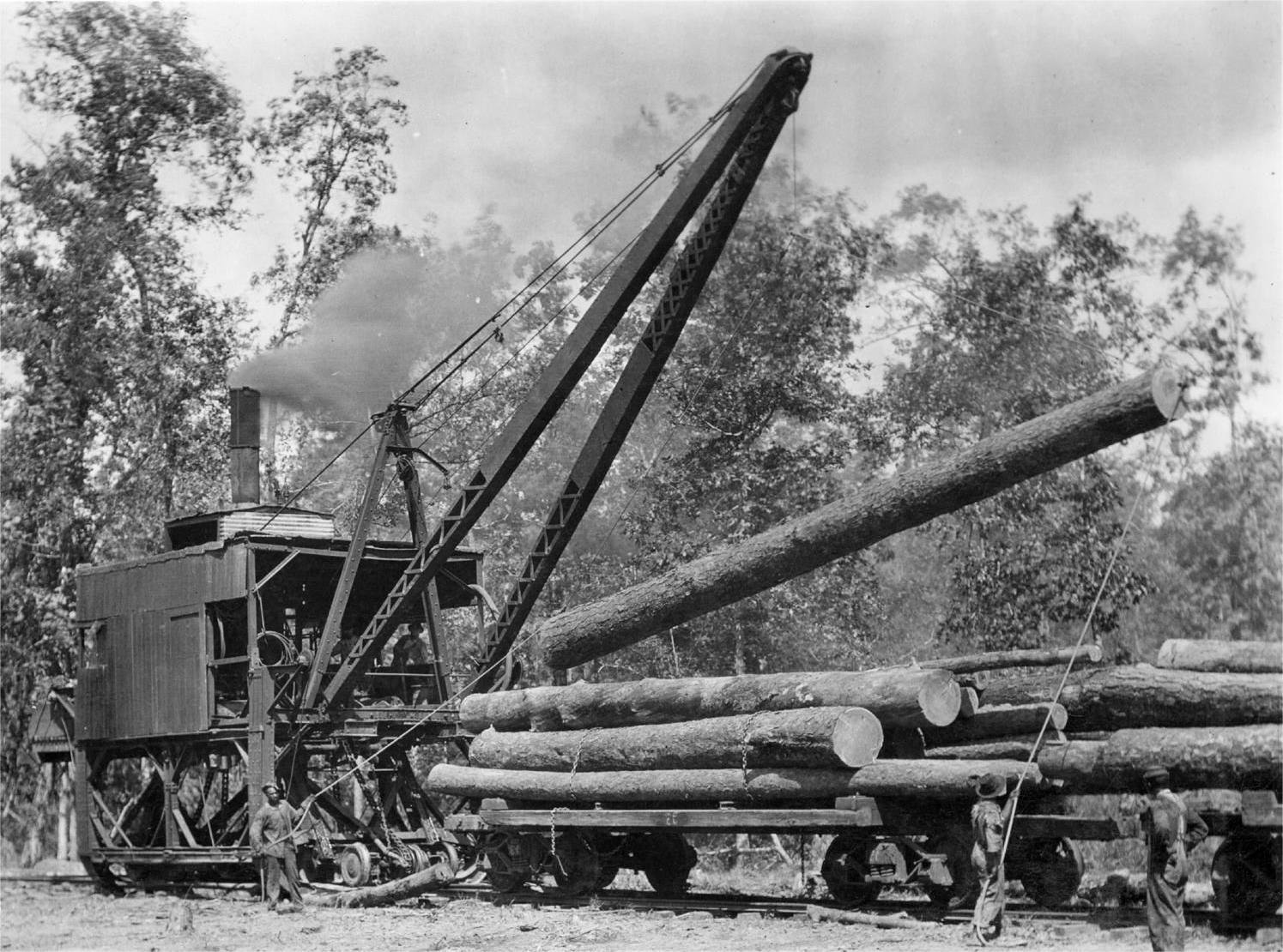 secrets-of-twisted-pine-railroad-logging-on-mount-hood