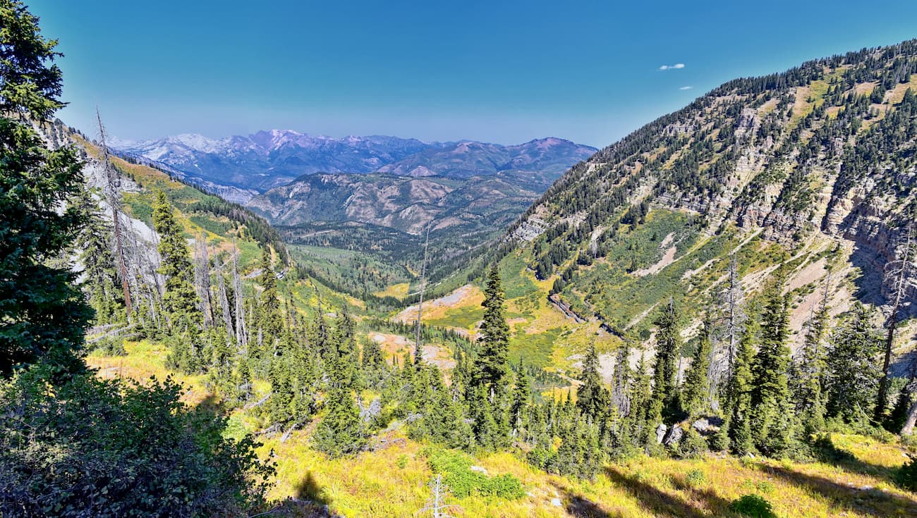 Secrets-Of-Utah8217s-Uinta-Wasatch-Cache-National-Forest secrets-of-utahs-uinta-wasatch-cache-national-forest