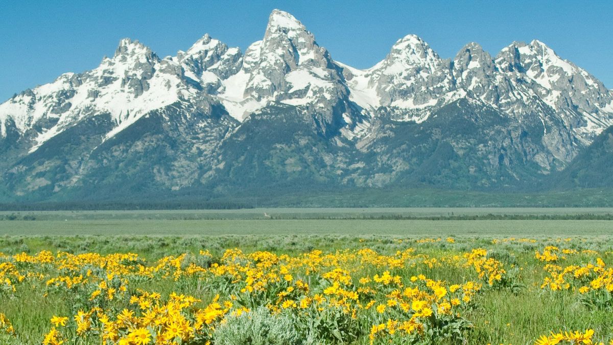 secrets-of-velvet-green-mountain-meadows-at-dusk-in-wyoming