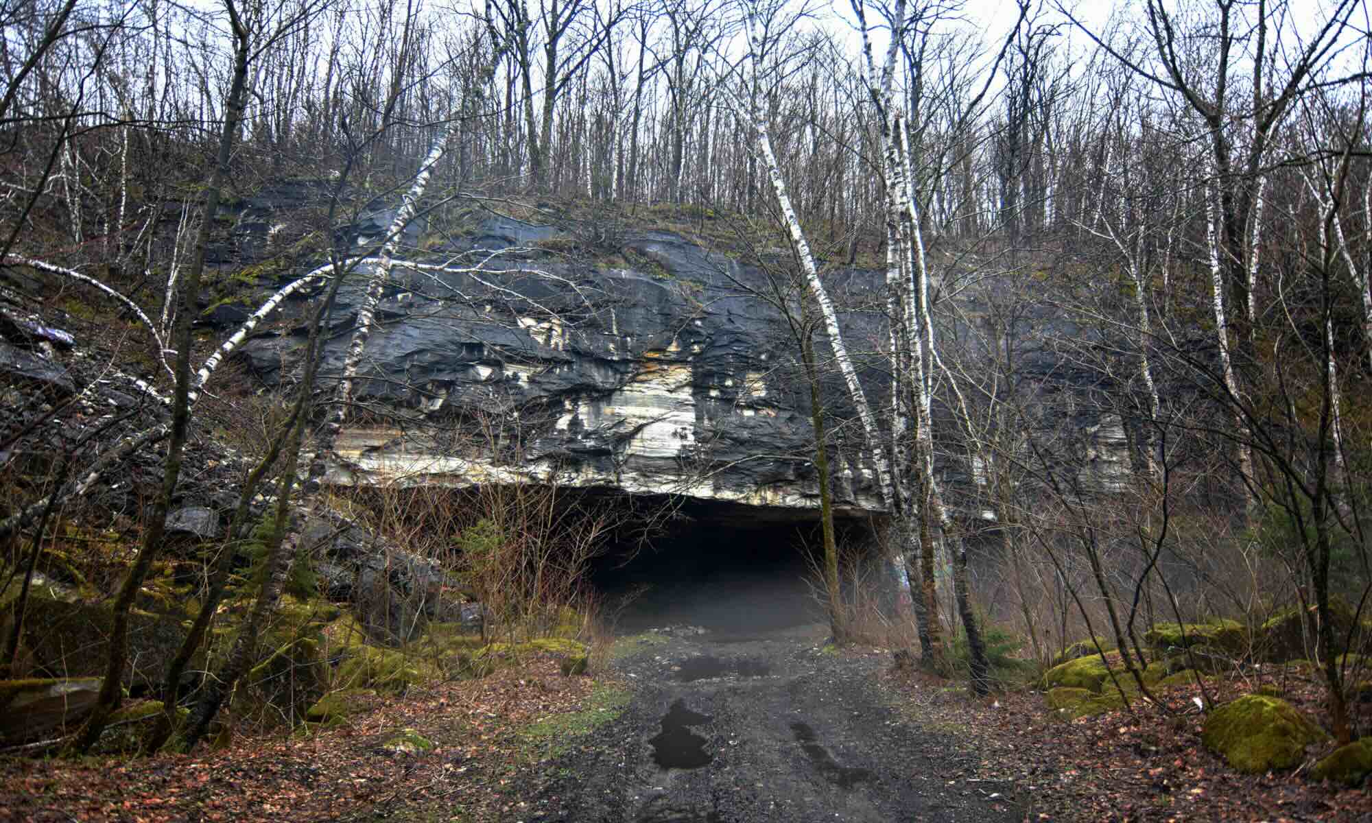 Secrets-Of-Vermont8217s-Amber-Lit-Forest-Quarries secrets-of-vermonts-amber-lit-forest-quarries