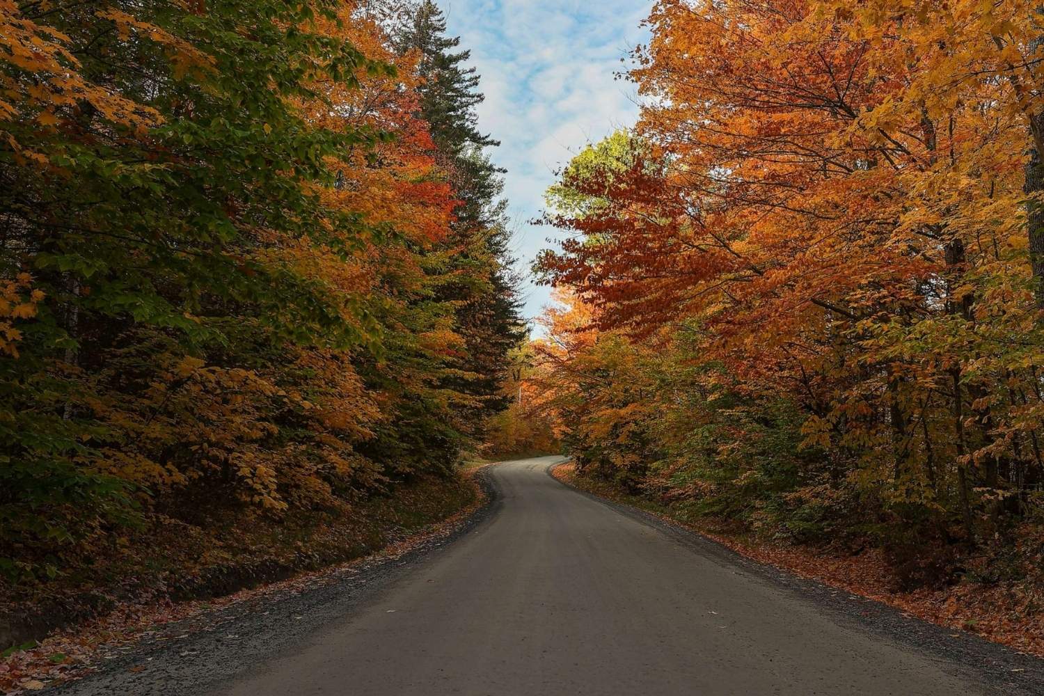 Secrets-Of-Vermont8217s-Autumn-Forest-Tunnels secrets-of-vermonts-autumn-forest-tunnels