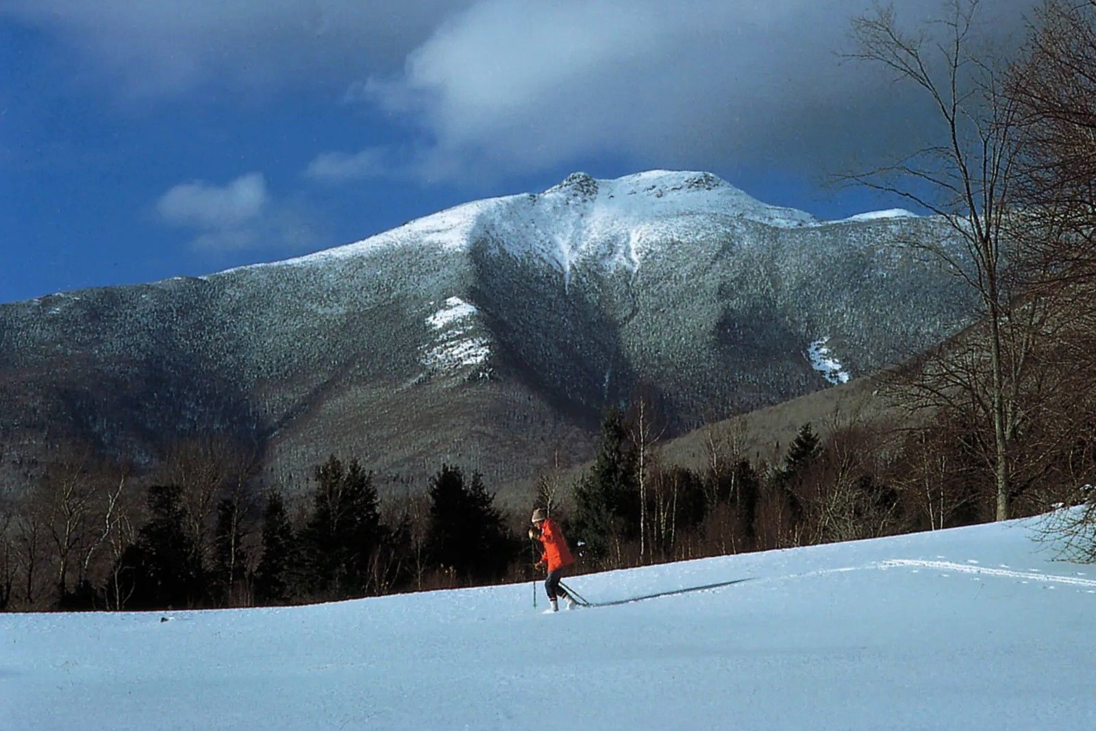 secrets-of-vermonts-mount-mansfield-wildflower-meadows