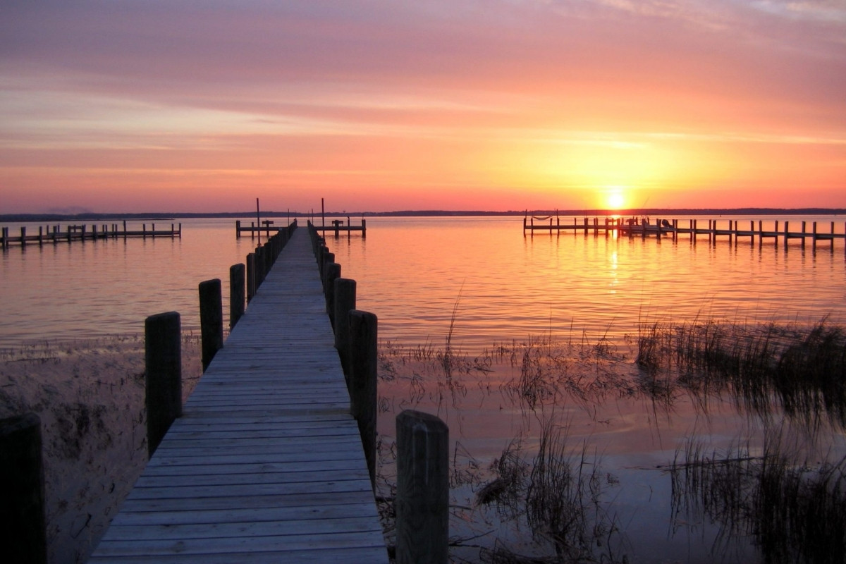 Secrets-Of-Virginia8217s-Assateague-Islands secrets-of-virginias-assateague-islands