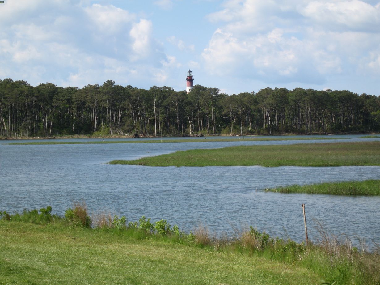 secrets-of-virginias-chincoteague-barrier-island-ecosystems