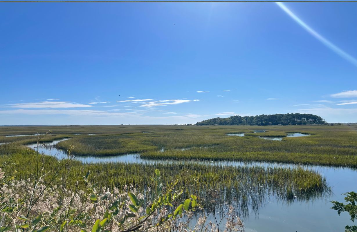 secrets-of-virginias-eastern-shore-marshlands