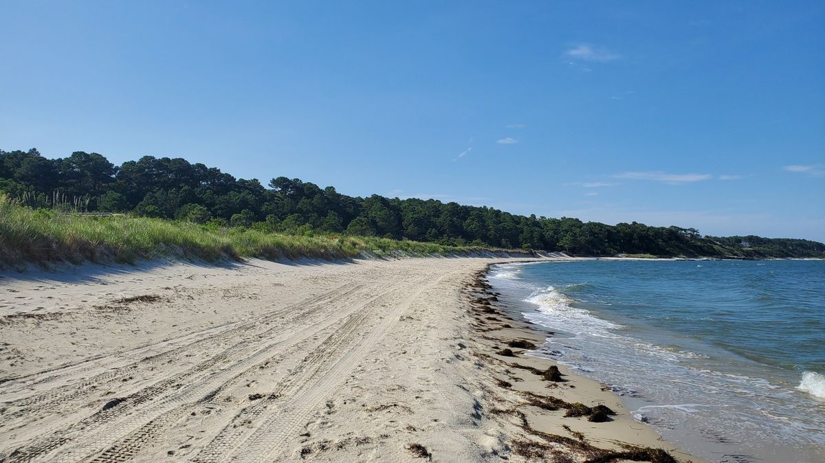 secrets-of-virginias-kiptopeke-state-park-shell-middens