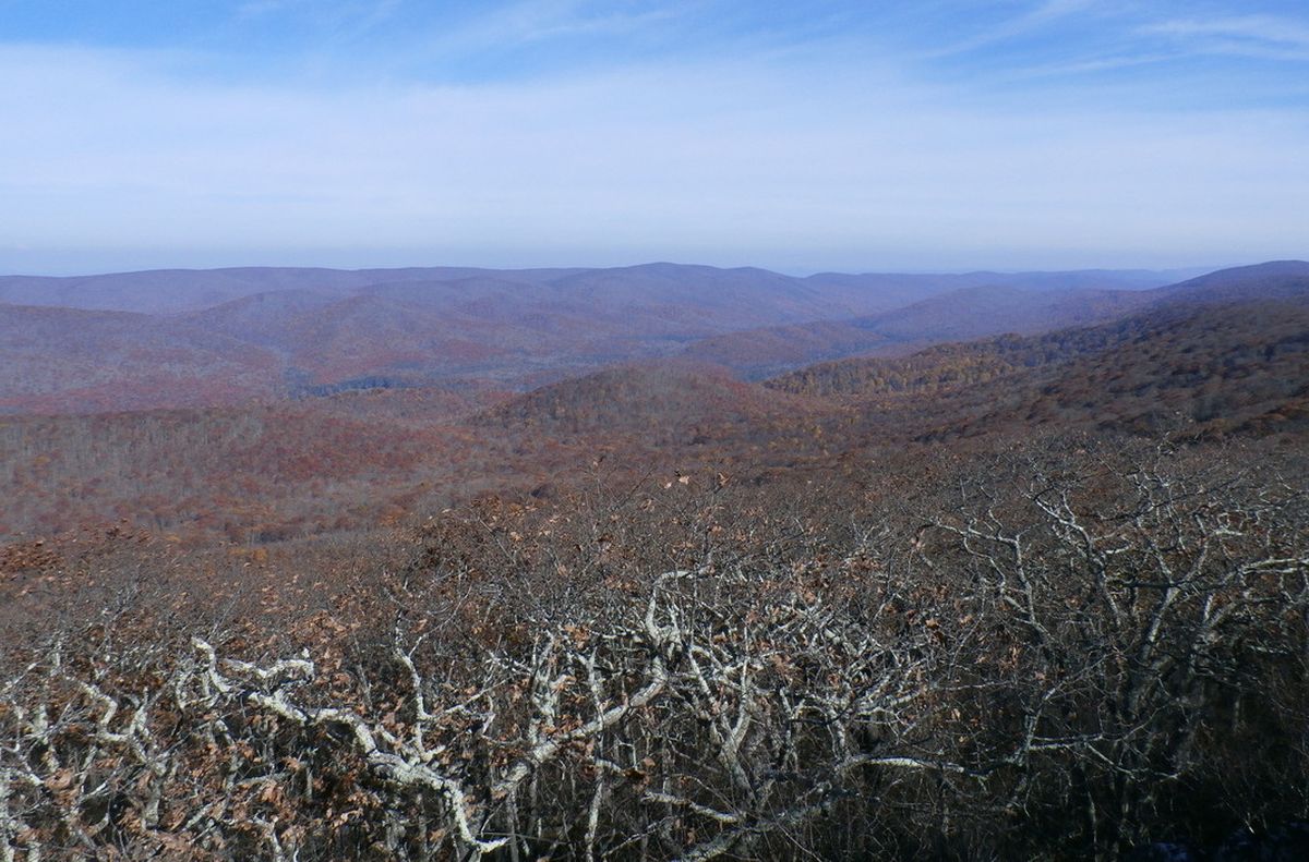 secrets-of-virginias-mountain-lake-wilderness