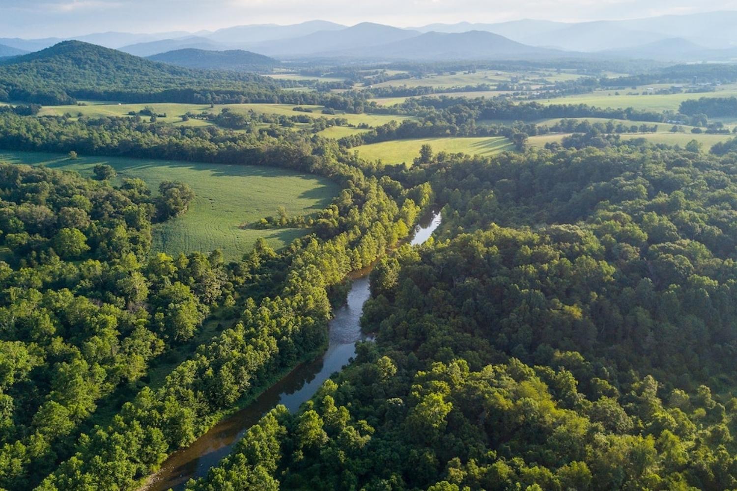 secrets-of-virginias-shenandoah-park-streams
