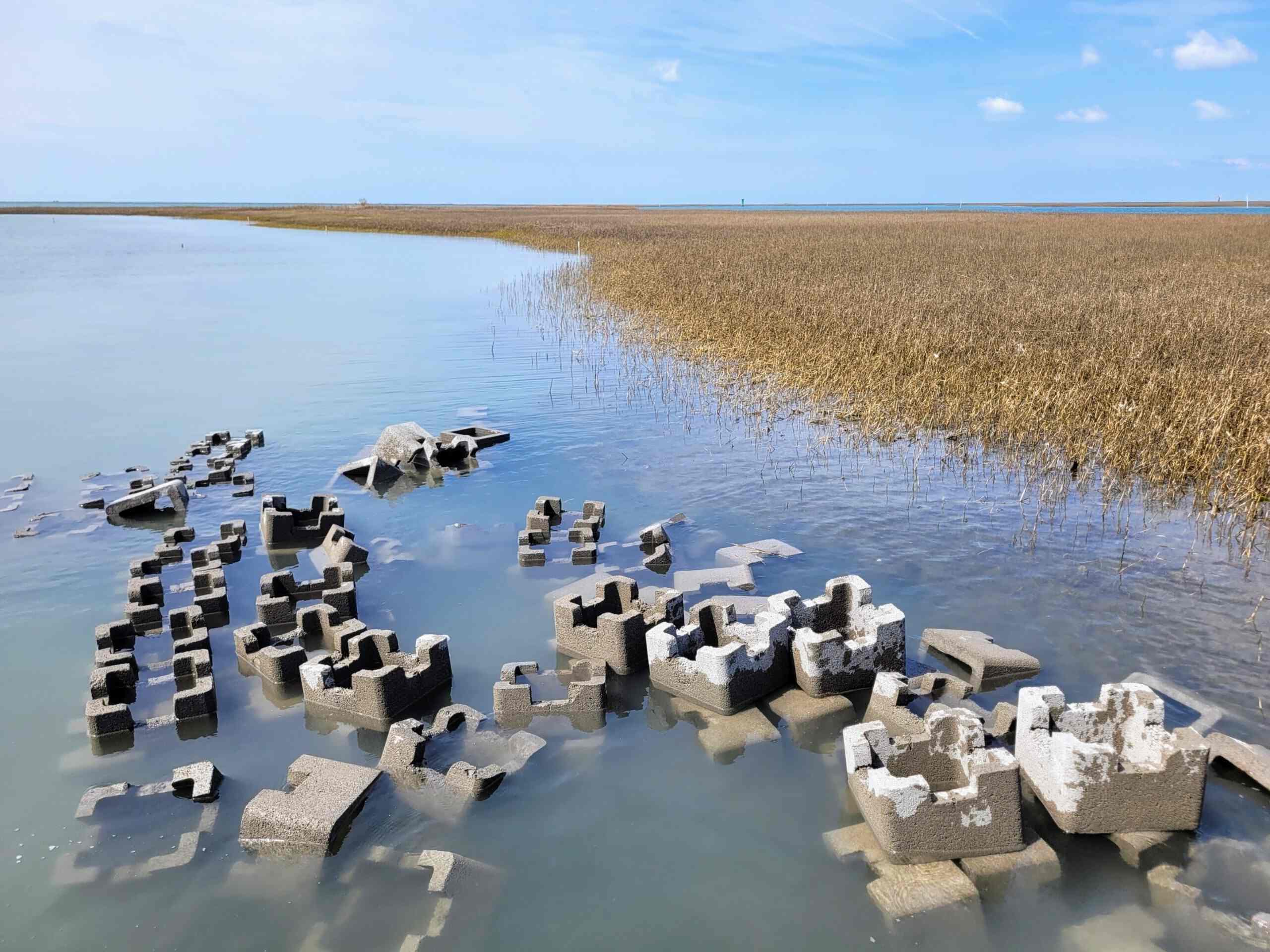 Secrets-Of-Virginia8217s-York-River-Oyster-Reefs secrets-of-virginias-york-river-oyster-reefs