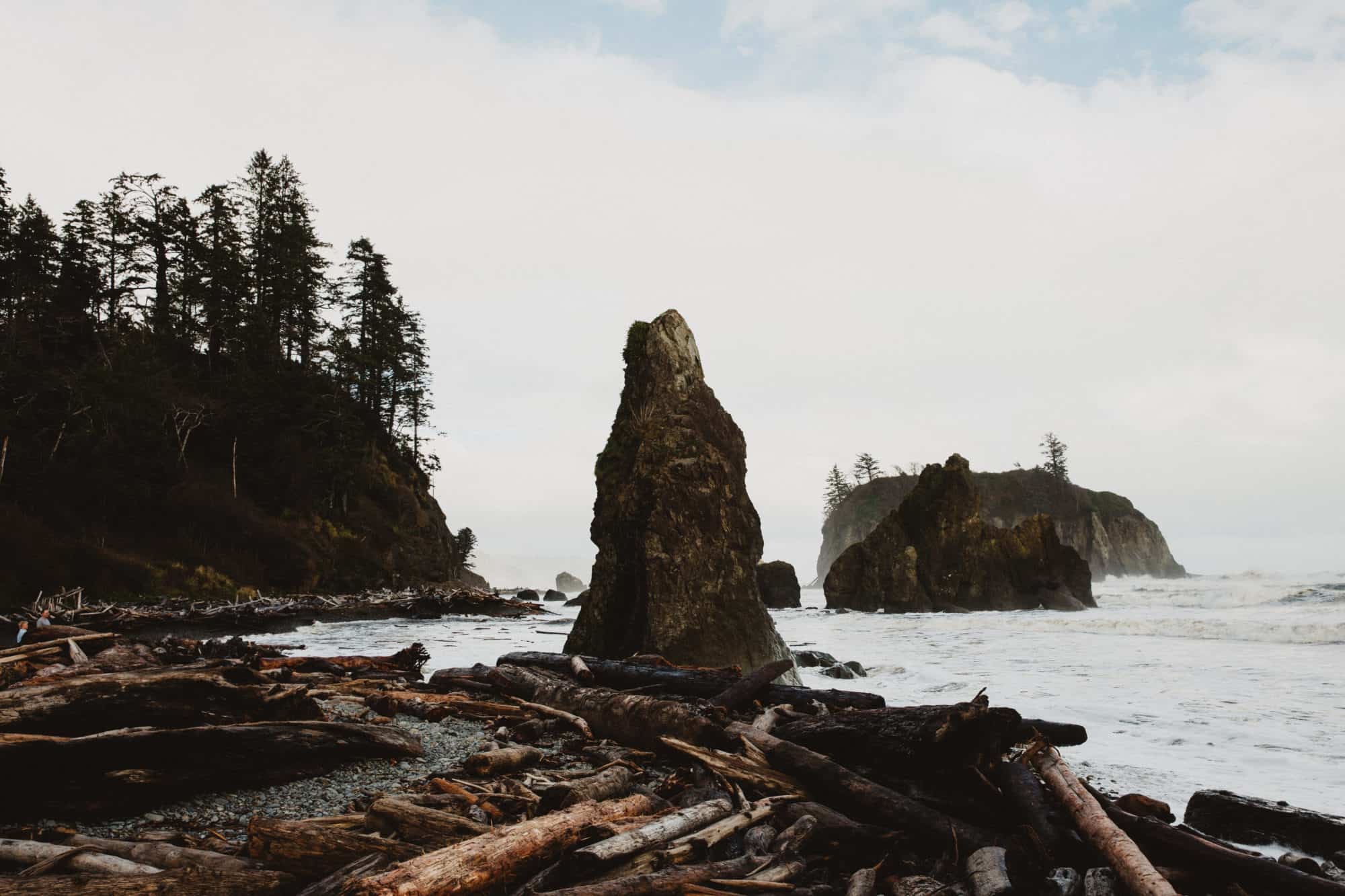 Secrets-Of-Washington8217s-Coastal-Driftwood-Beaches secrets-of-washingtons-coastal-driftwood-beaches
