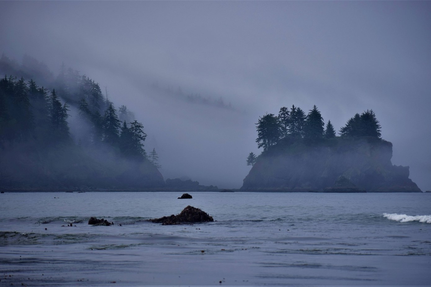 Secrets-Of-Washington8217s-Fog-Islands secrets-of-washingtons-fog-islands