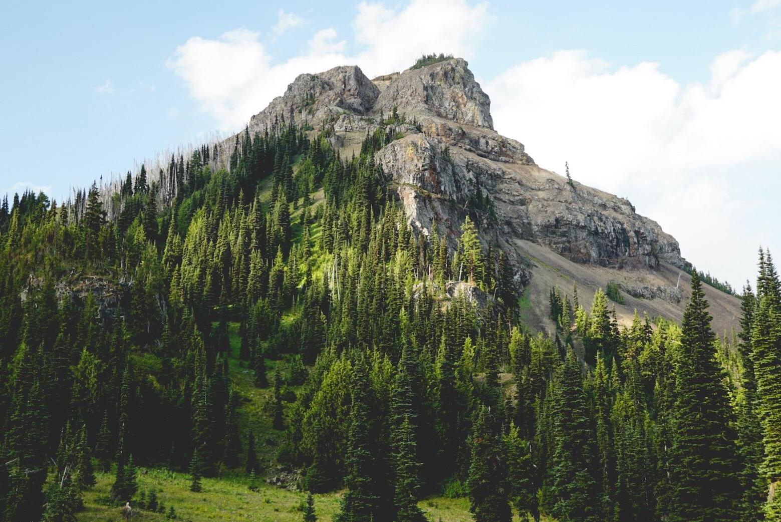 secrets-of-washingtons-norse-peak-forest-groves