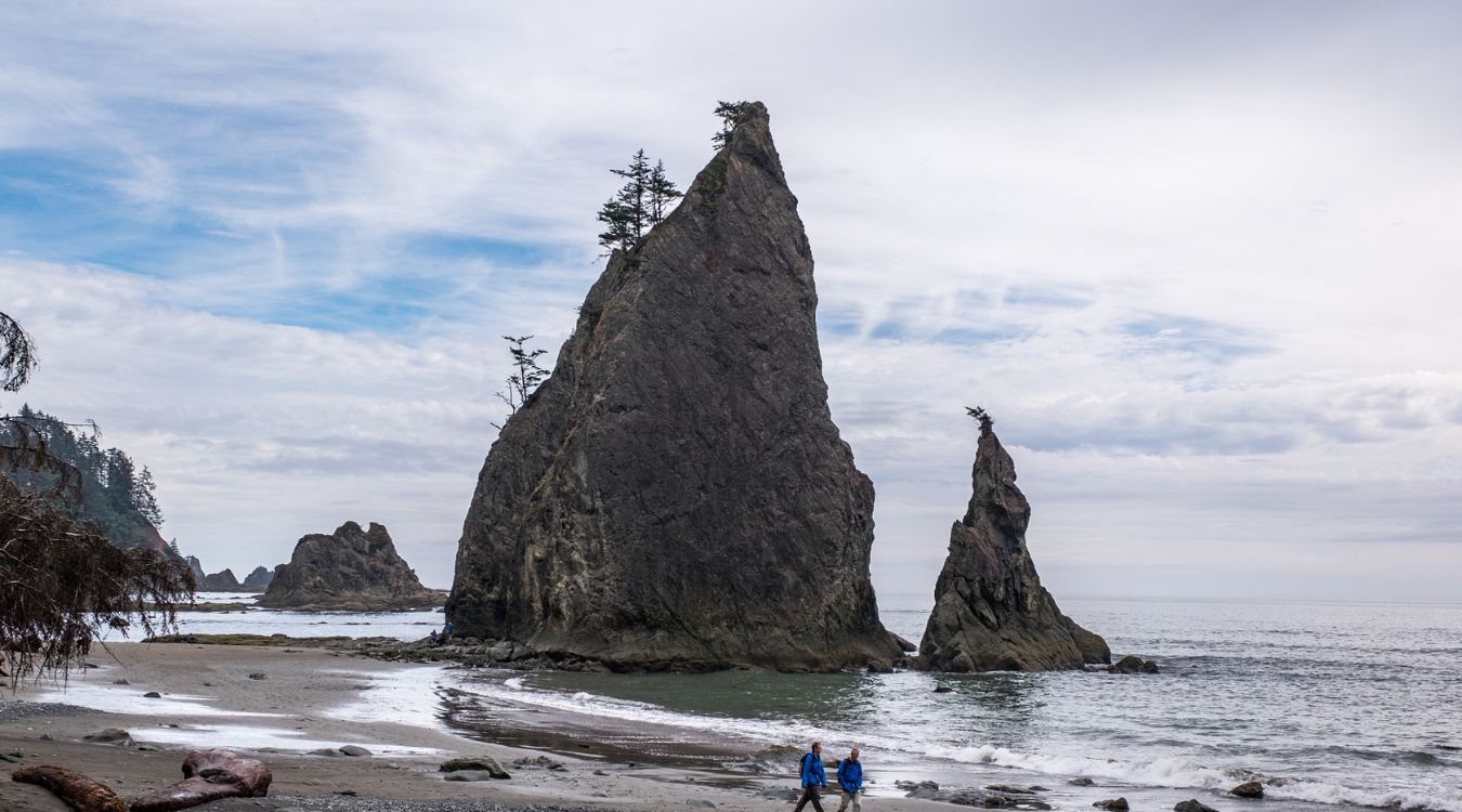 Secrets-Of-Washington8217s-Olympic-National-Park-Shell-Beach secrets-of-washingtons-olympic-national-park-shell-beach