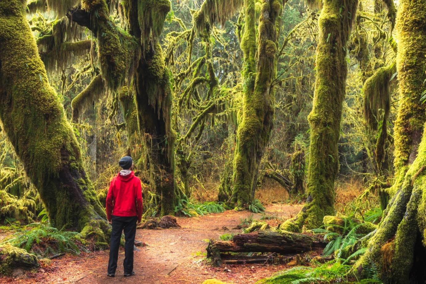 secrets-of-washingtons-olympic-peninsula-headlands