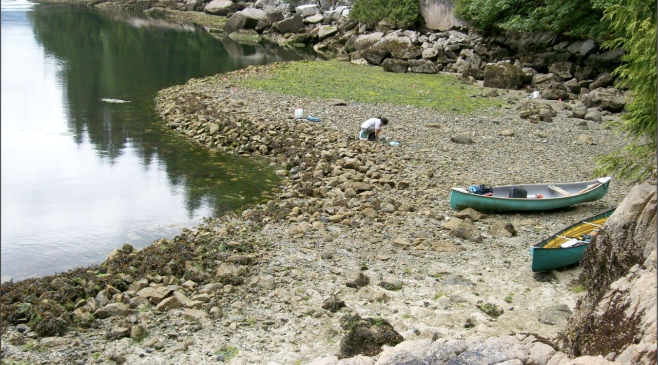 Secrets-Of-Washington8217s-San-Juan-Island-Shell-Middens secrets-of-washingtons-san-juan-island-shell-middens