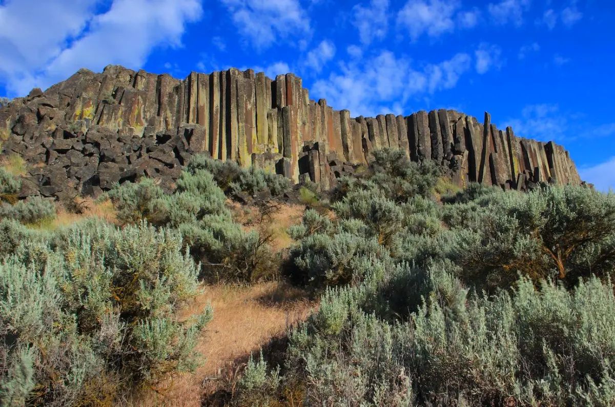 Secrets-Of-Washington8217s-Towering-Basalt-Columns secrets-of-washingtons-towering-basalt-columns