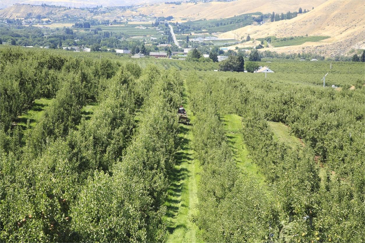 Secrets-Of-Washington8217s-Wenatchee-Orchards secrets-of-washingtons-wenatchee-orchards