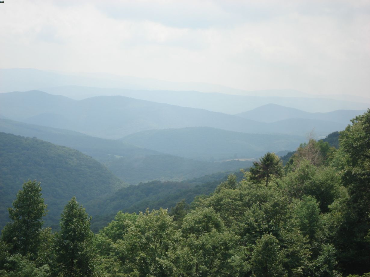 Secrets-Of-West-Virginia8217s-Monongahela-Forest-Valleys secrets-of-west-virginias-monongahela-forest-valleys