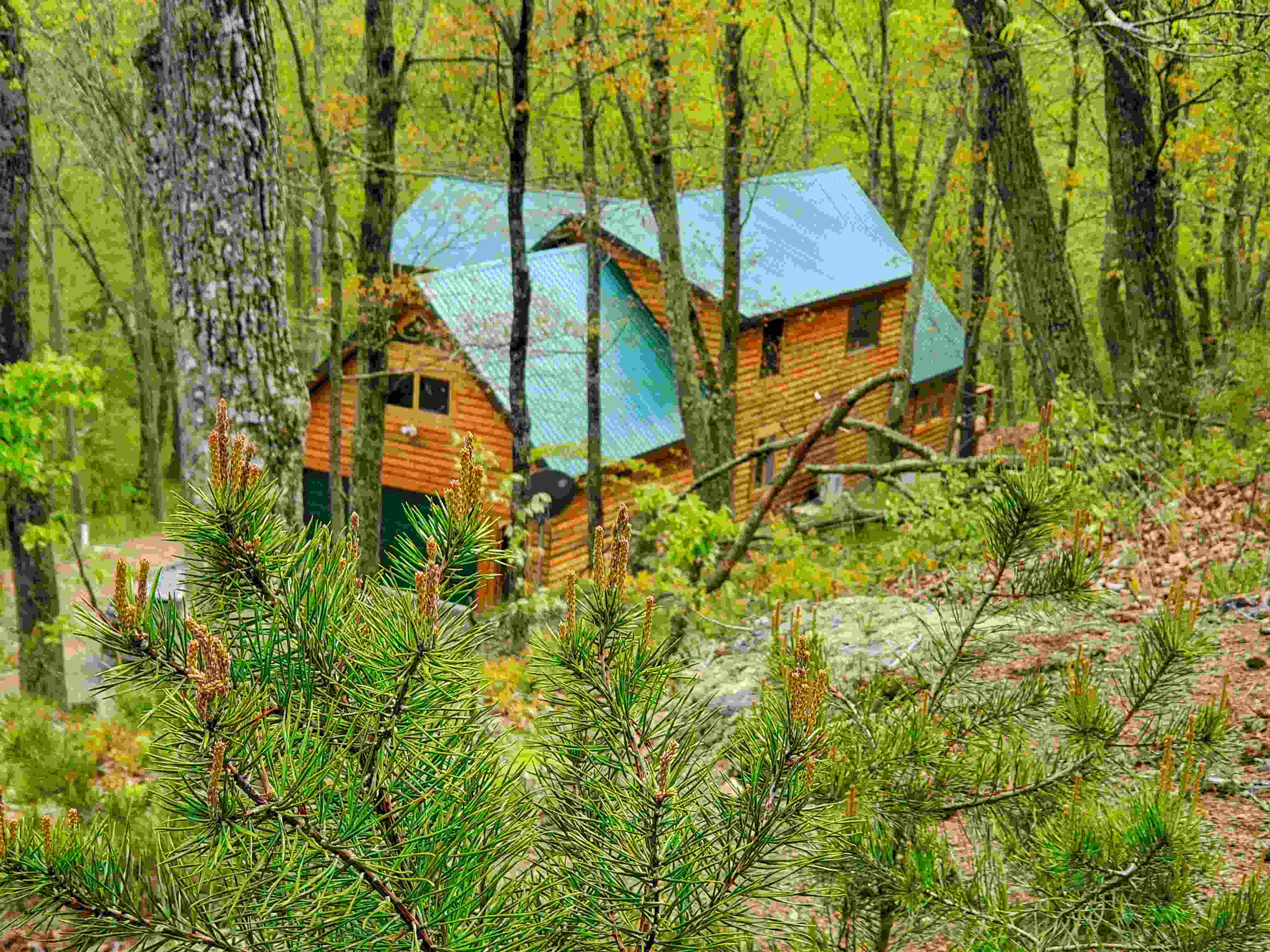 secrets-of-west-virginias-potomac-highlands-cabins