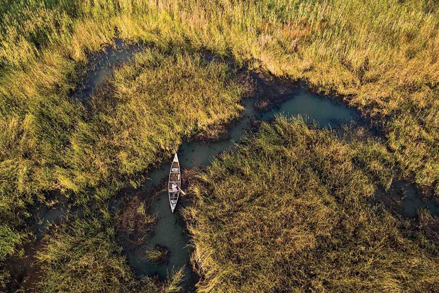 secrets-of-wild-rice-harvesting-in-minnesotas-white-earth-nation