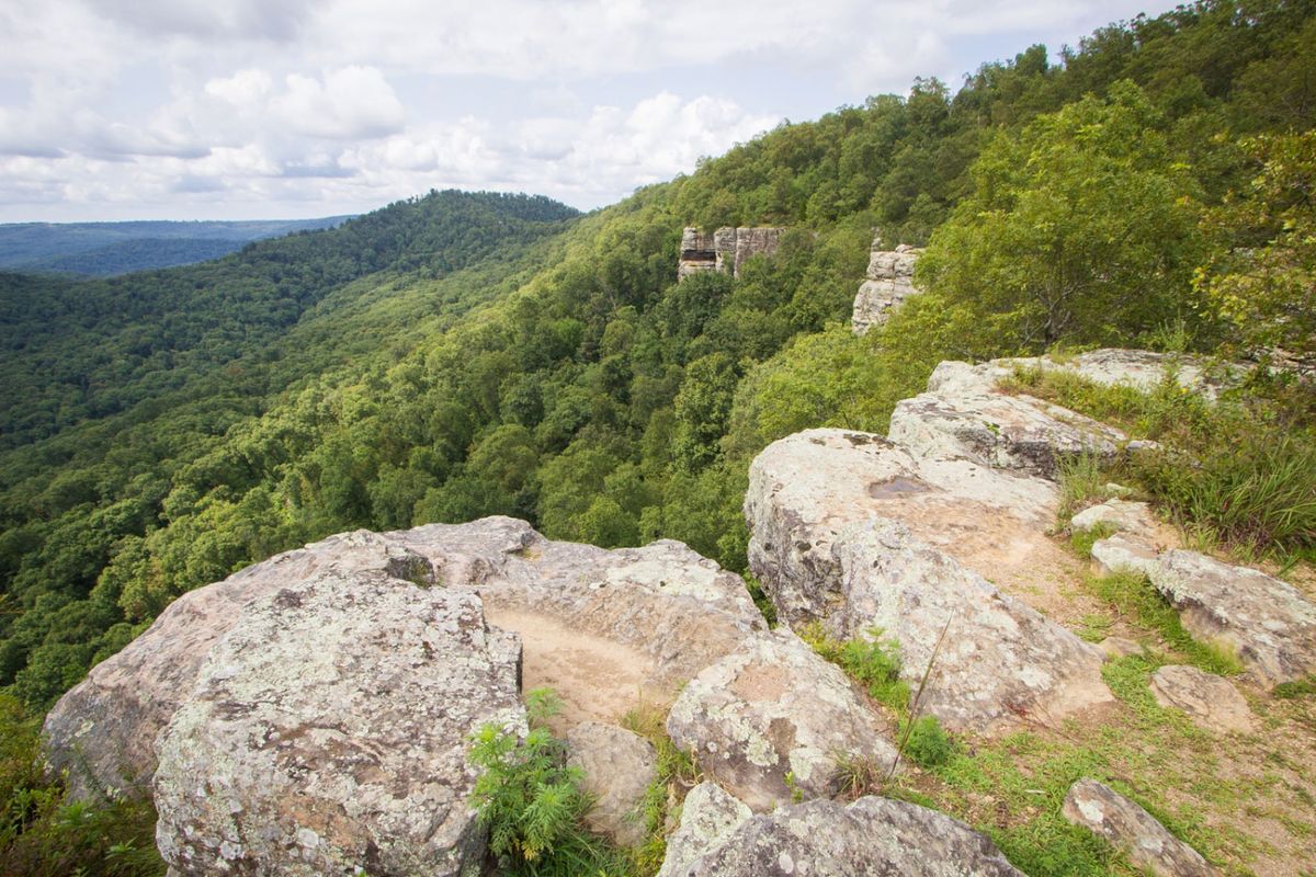 secrets-of-wild-turkey-habitats-in-arkansass-white-rock-mountain