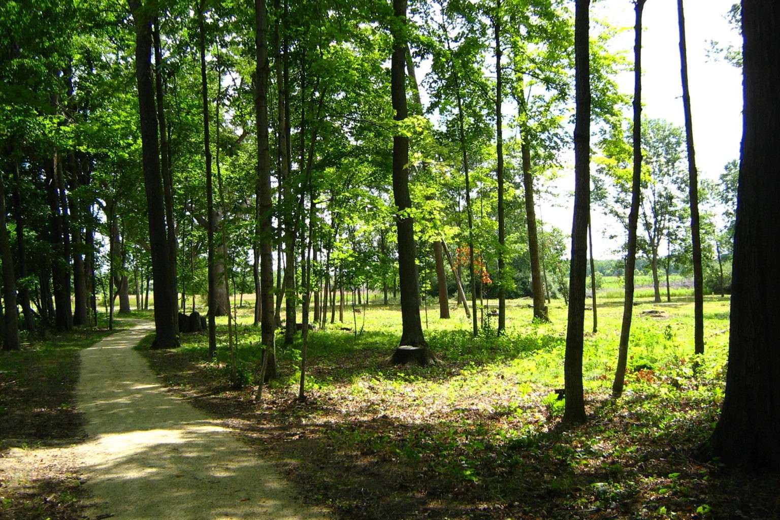 secrets-of-wisconsins-lizard-mound-park