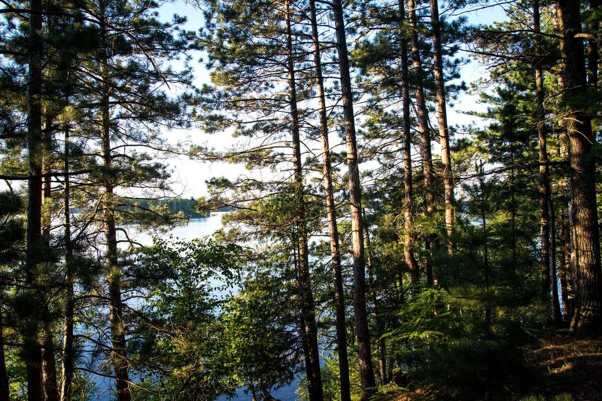 secrets-of-wisconsins-pine-highlands