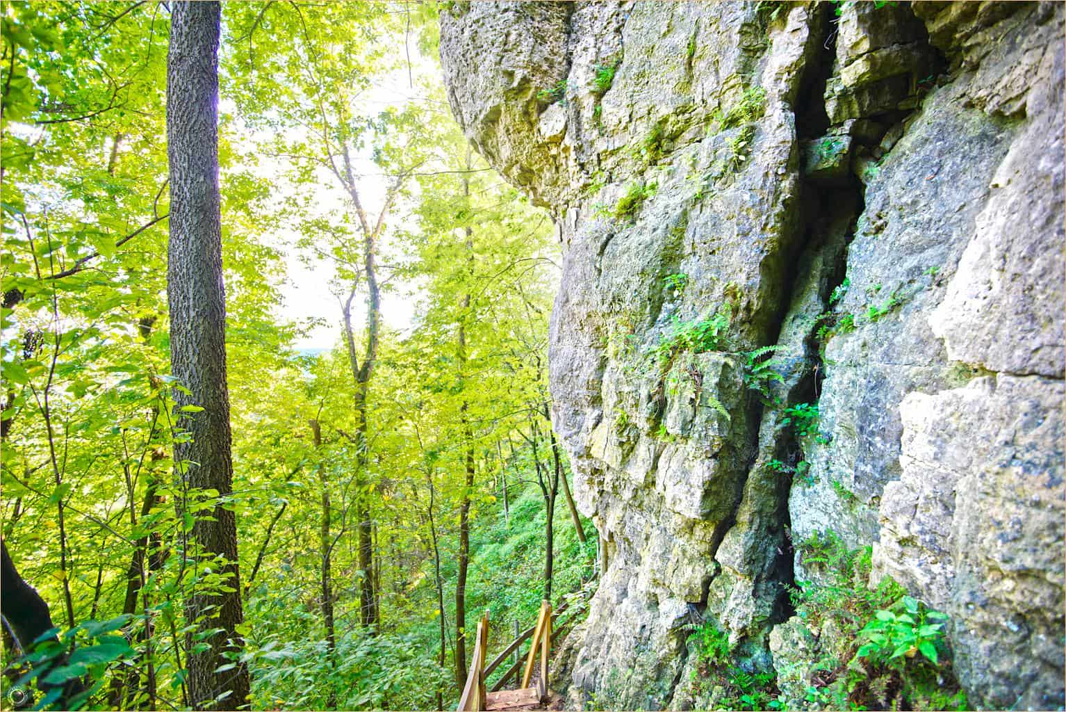 Secrets-Of-Wyalusing-State-Park8217s-Hidden-Swallow-Hibernacula secrets-of-wyalusing-state-parks-hidden-swallow-hibernacula