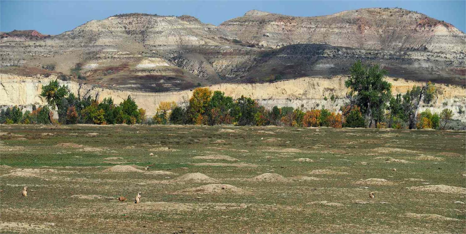Secrets-Of-Wyoming8217s-Amber-Lit-Prairie-Dog-Towns secrets-of-wyomings-amber-lit-prairie-dog-towns