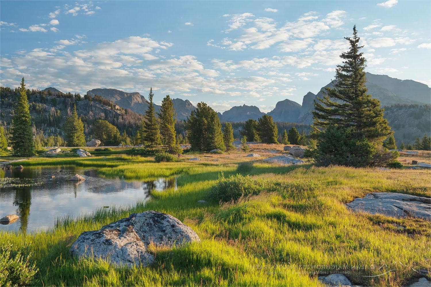 secrets-of-wyomings-bridger-mountain-wilderness