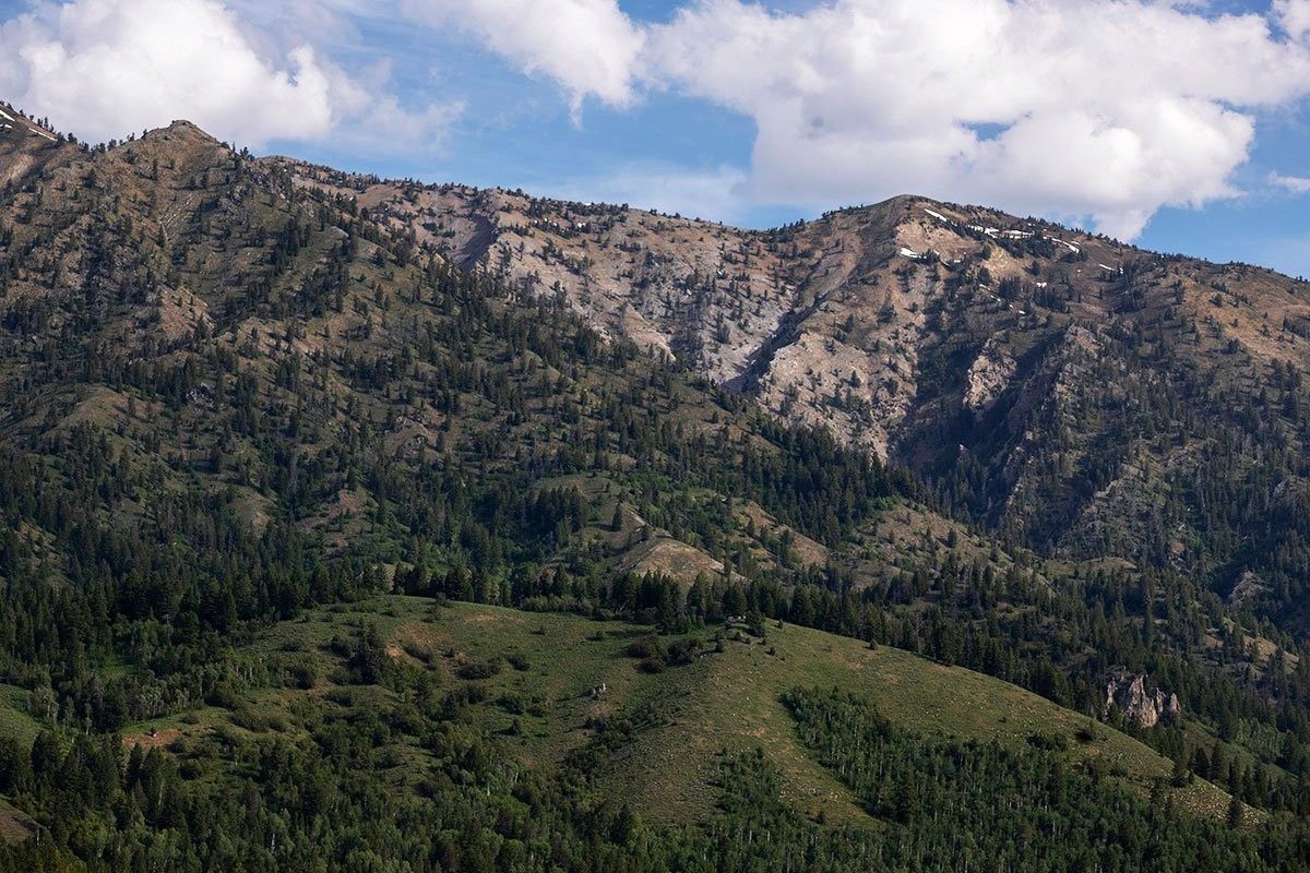 secrets-of-wyomings-frost-tipped-alpine-meadows