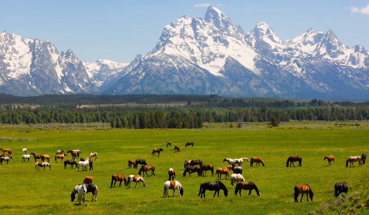 Secrets-Of-Wyoming8217s-Grand-Tetons secrets-of-wyomings-grand-tetons