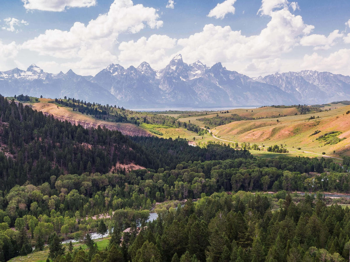 Secrets-Of-Wyoming8217s-Teton-Range-Meadows secrets-of-wyomings-teton-range-meadows