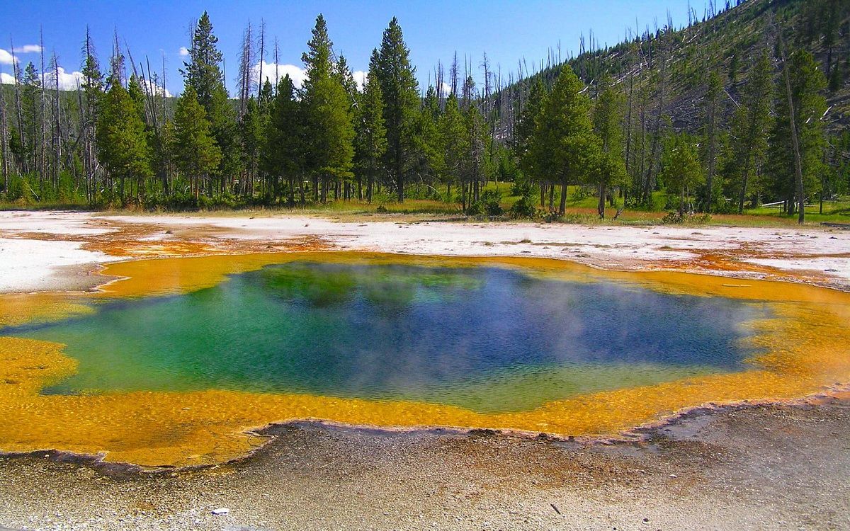 secrets-of-wyomings-yellowstone-geyser-basins