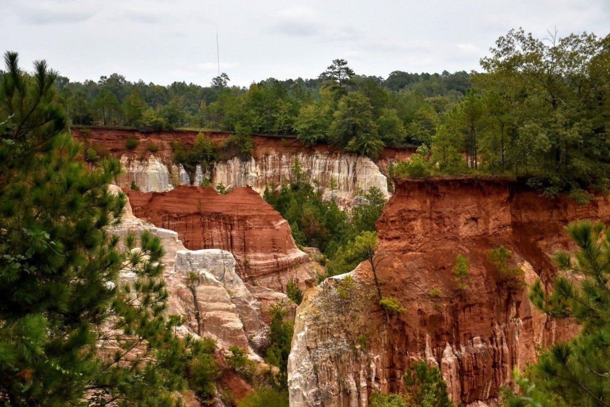 spring-runs-of-georgias-providence-canyon-revealed