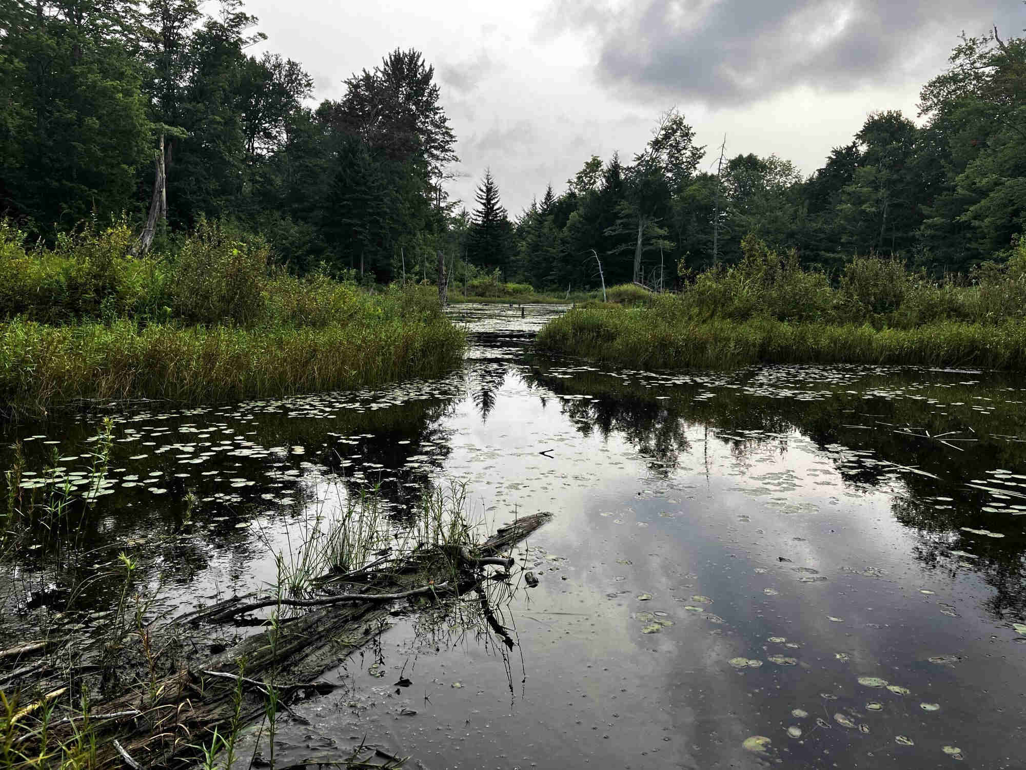 The-Enigmatic-Forest-Ponds-Of-Vermont8217s-Green-Mountains the-enigmatic-forest-ponds-of-vermonts-green-mountains