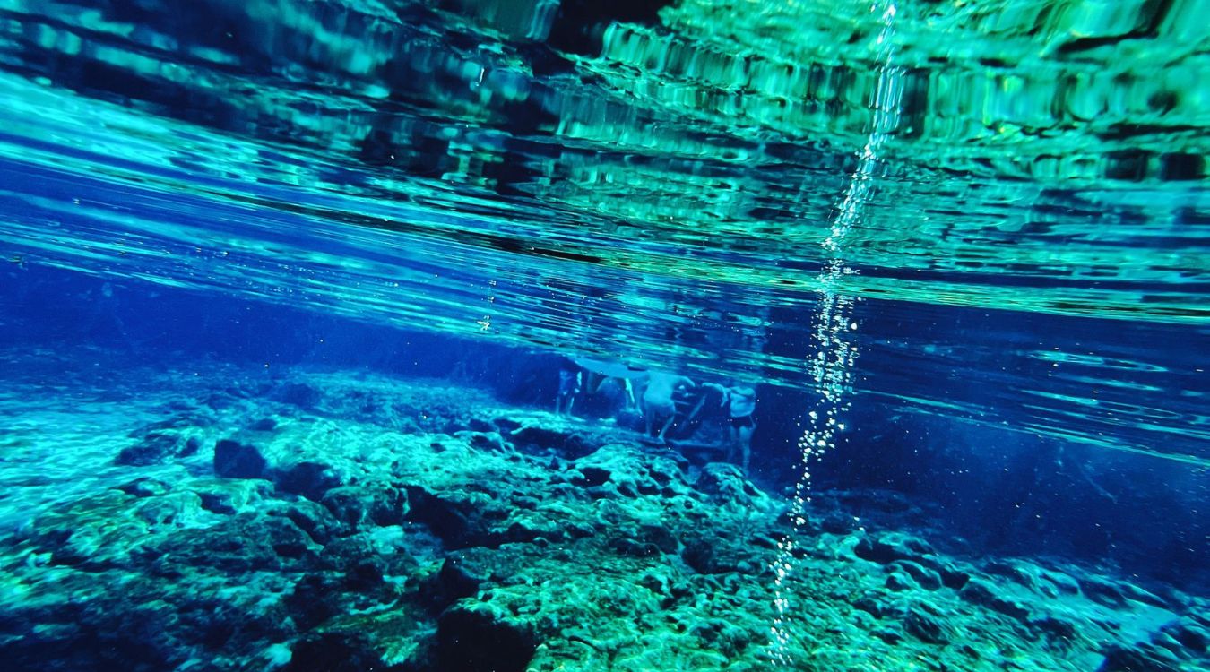 the-hidden-beauty-of-floridas-ginnie-springs