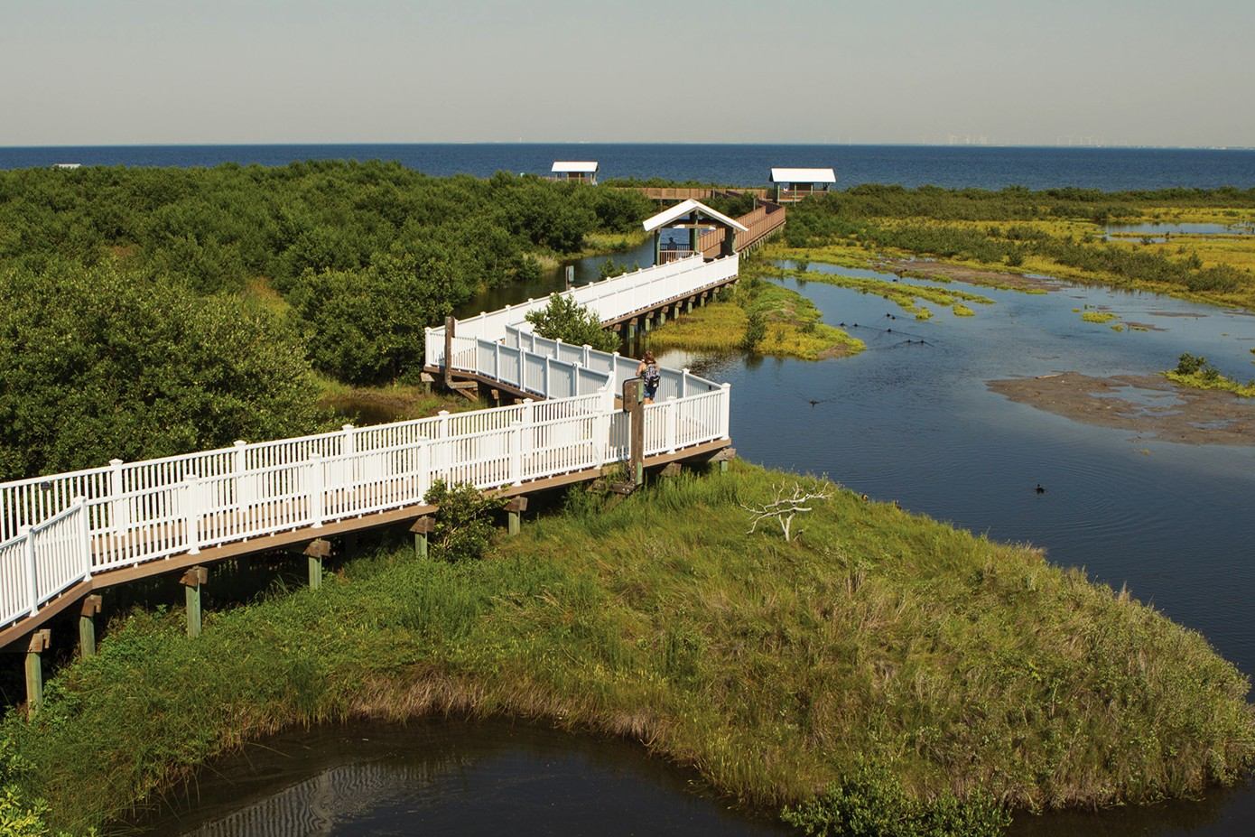 The-Hidden-Secrets-Of-Texas8217s-Padre-Island-Wetlands the-hidden-secrets-of-texass-padre-island-wetlands