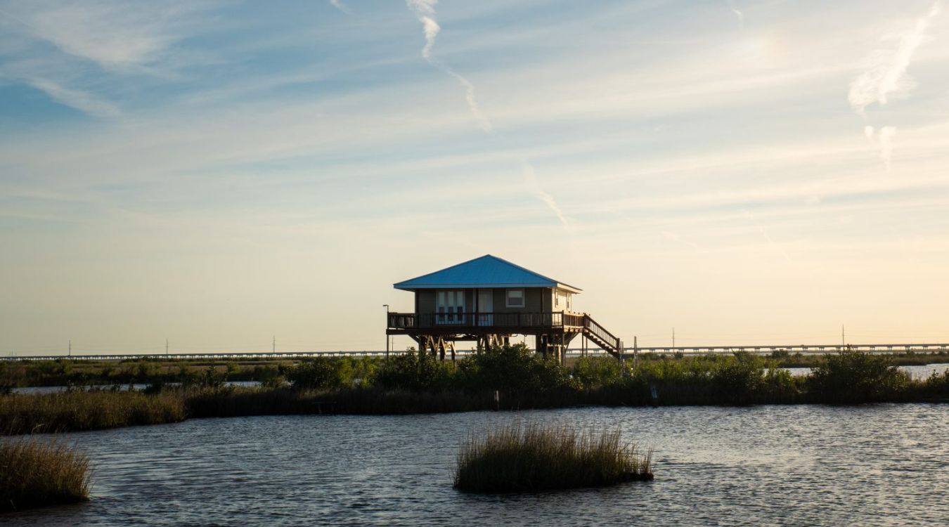 the-hidden-wetlands-of-louisianas-grand-isle