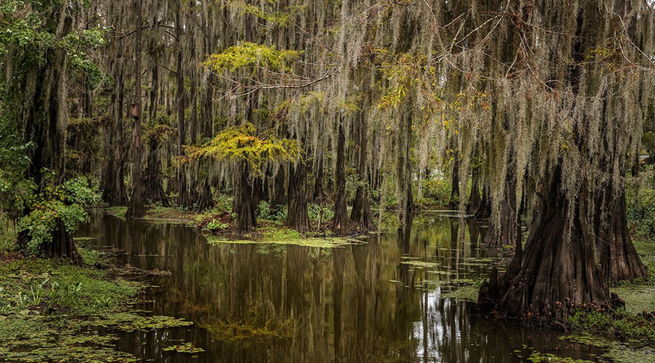 the-mysterious-swamp-lights-of-louisianas-manchac-swamp