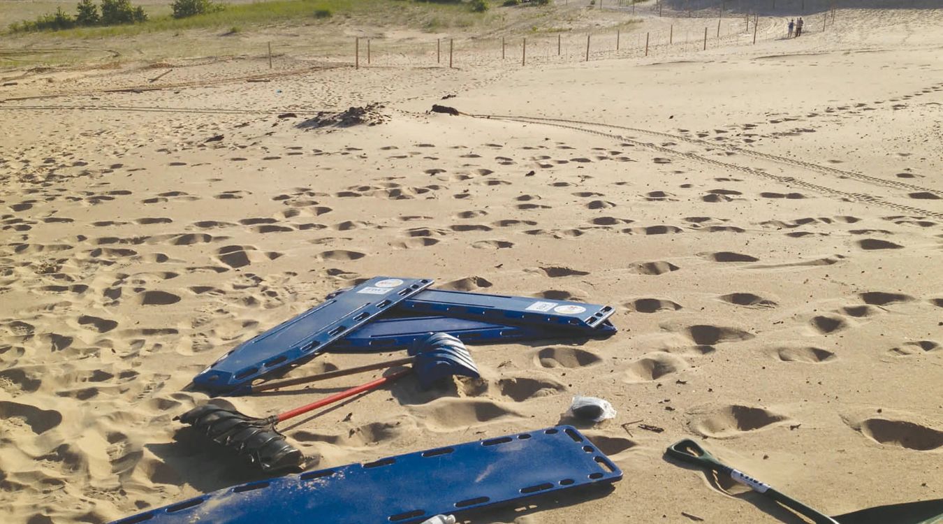 the-mystery-of-indianas-vanishing-coastal-dune-ecosystems