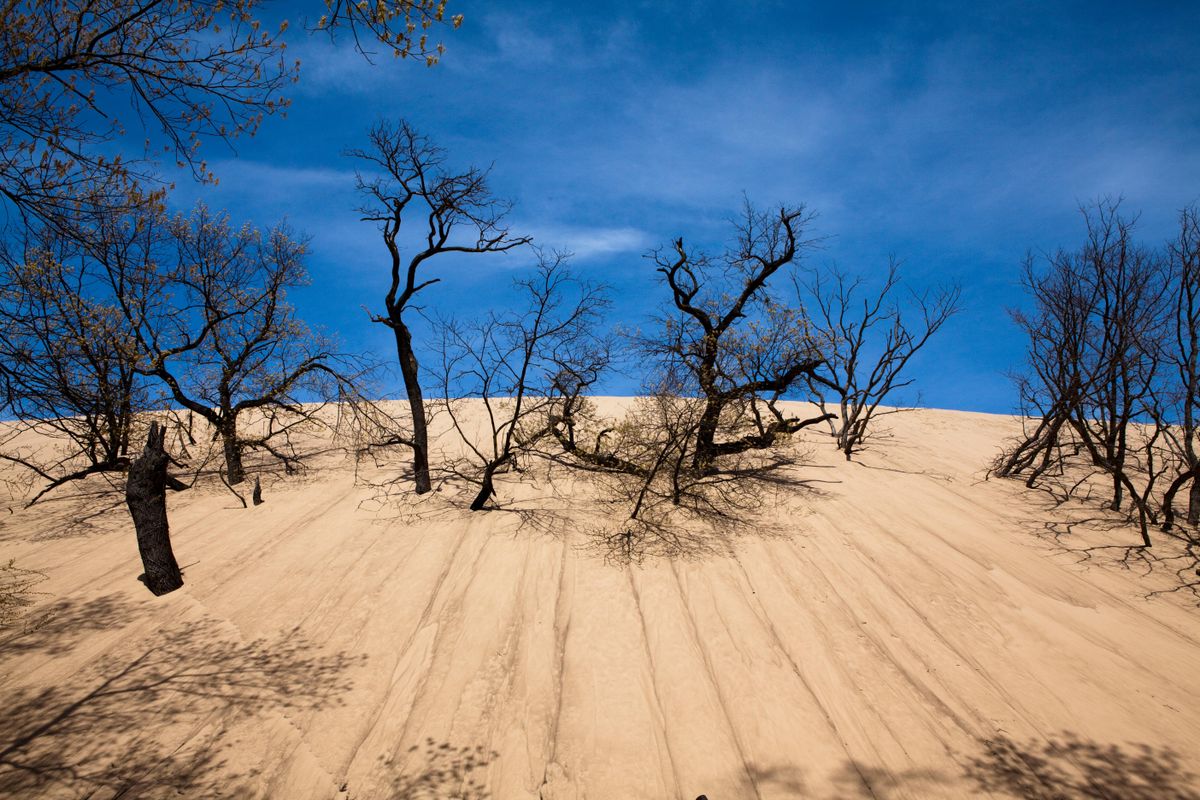 the-mystery-of-indianas-vanishing-sand-dunes