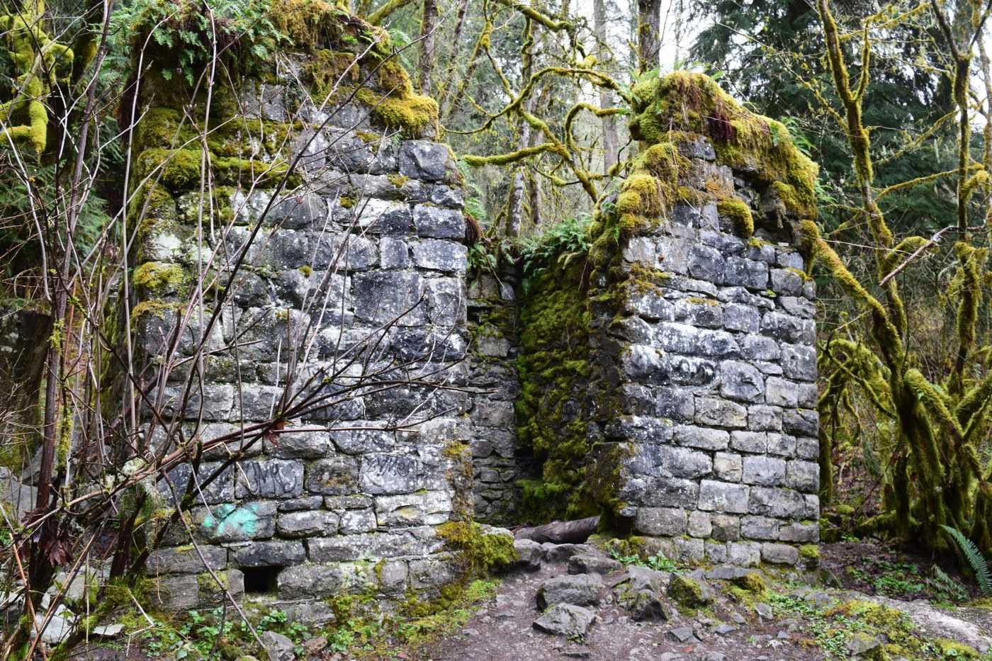 the-secrets-of-washingtons-moss-covered-ghost-town-melmont