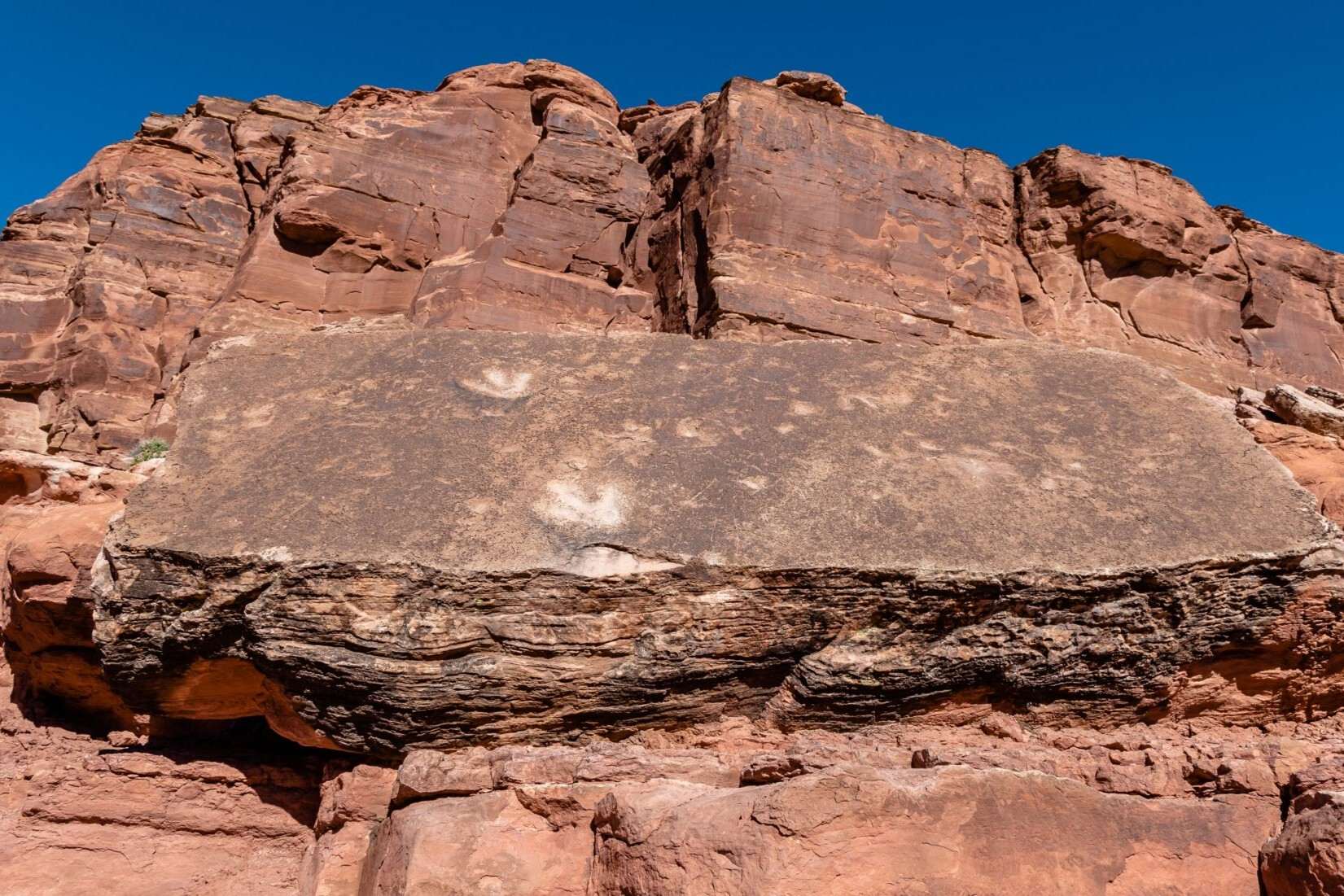 Utah8217s-Secret-Dinosaur-Tracks-And-Fossils utahs-secret-dinosaur-tracks-and-fossils