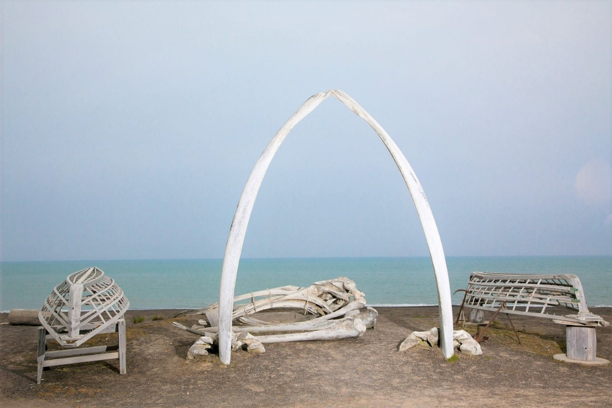 Whalebone-Beaches-Of-Alaska8217s-Arctic-Refuge whalebone-beaches-of-alaskas-arctic-refuge