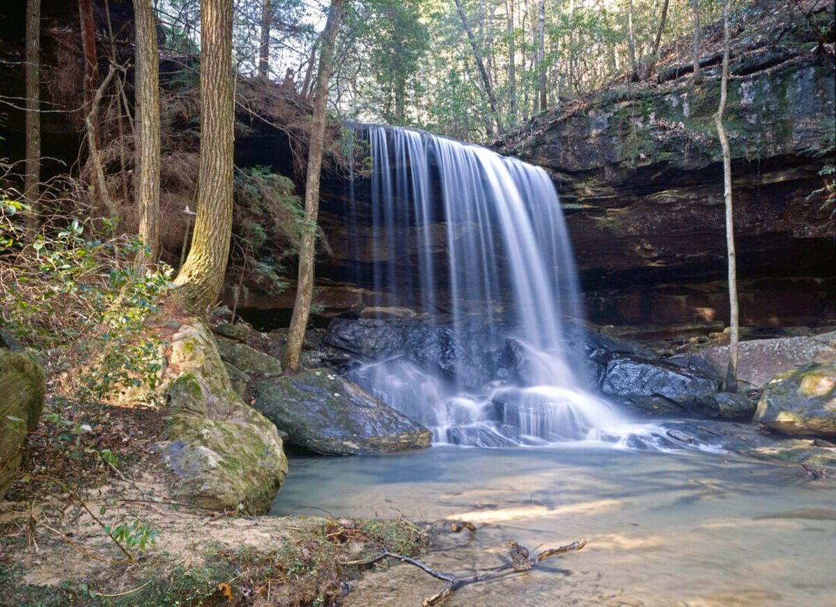 alabamas-sipsey-wilderness-hidden-waterfalls-revealed